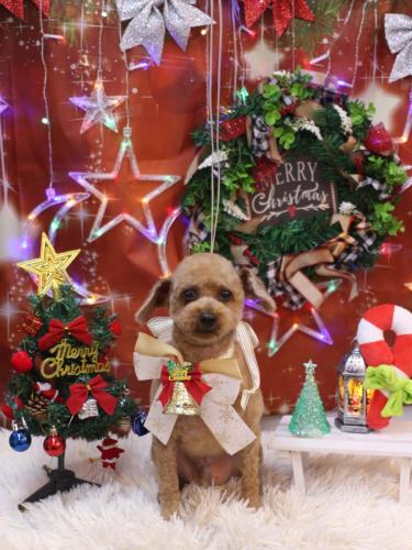 20231202マリンくん